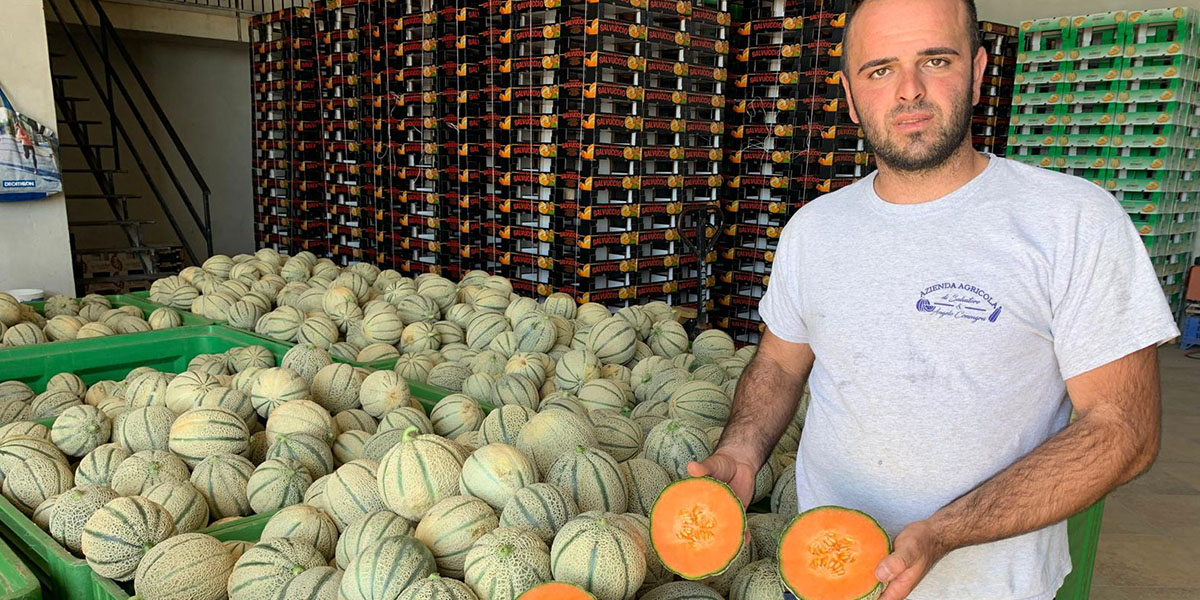 Bayer: il melone SV9790 protagonista a Licata